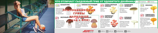 спайс Абаза
