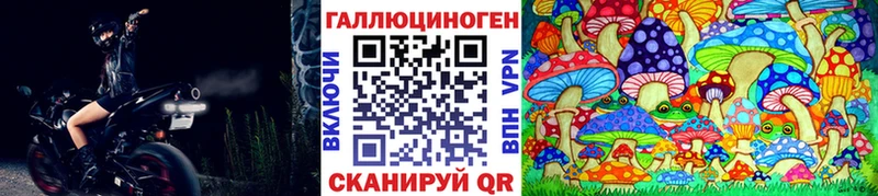omg как войти  Духовщина  Псилоцибиновые грибы Cubensis 